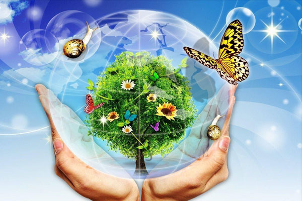 Công thức sơn không mùi xu hướng của tương lai